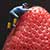 Berry Climber