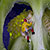 Macro